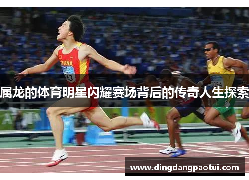 属龙的体育明星闪耀赛场背后的传奇人生探索